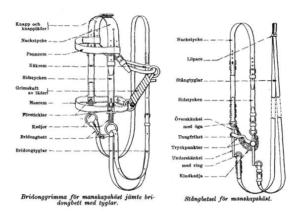 hastutr_historia_image002.jpg